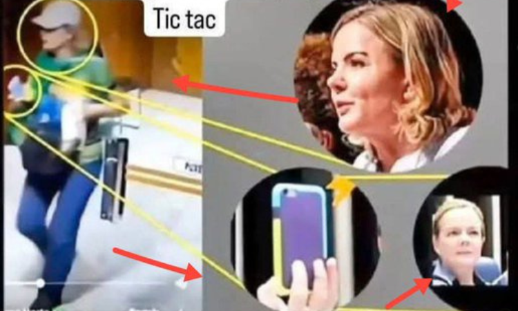 A Loira do Boné: O Mistério da Mulher que Parecia Gleisi no 8 de Janeiro